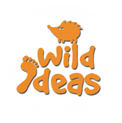 Wild Ideas