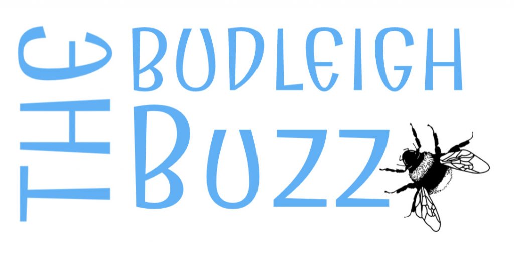 Budleigh Buzz logo