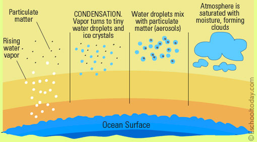 water cycle condensation