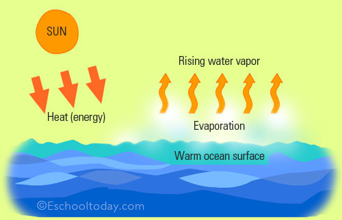 evaporation water cycle