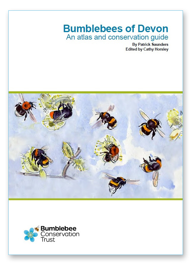 Bumblebee species guide - Bumblebee Conservation Trust